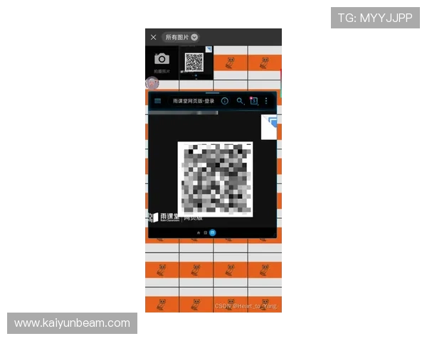 开云官方网站入口二维码常见问题解答，扫码登录遇到困难怎么办